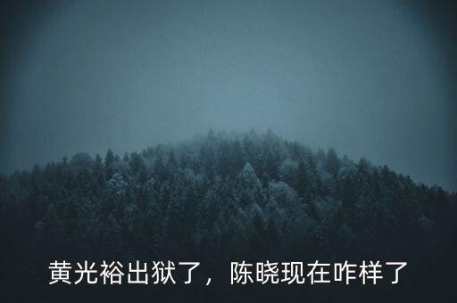 黃光裕出獄了，陳曉現(xiàn)在咋樣了