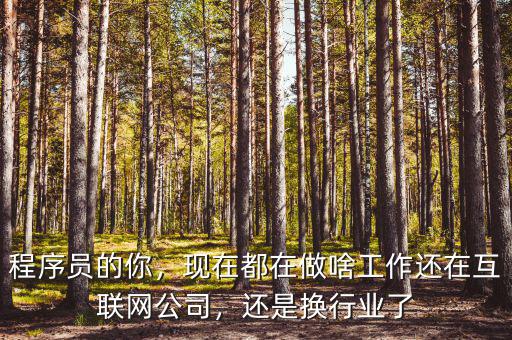 程序員的你，現(xiàn)在都在做啥工作還在互聯(lián)網公司，還是換行業(yè)了
