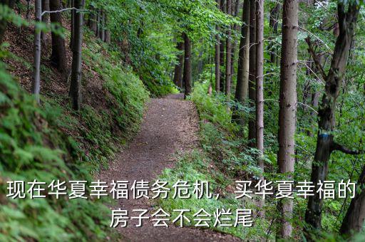 現(xiàn)在華夏幸福債務危機，買華夏幸福的房子會不會爛尾