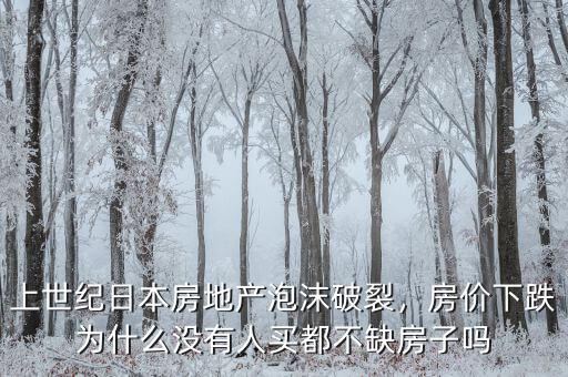 上世紀(jì)日本房地產(chǎn)泡沫破裂，房?jī)r(jià)下跌為什么沒(méi)有人買(mǎi)都不缺房子嗎