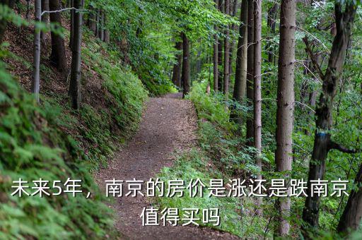 未來5年，南京的房價(jià)是漲還是跌南京值得買嗎