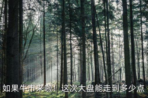 如果牛市來啦！這次大盤能走到多少點