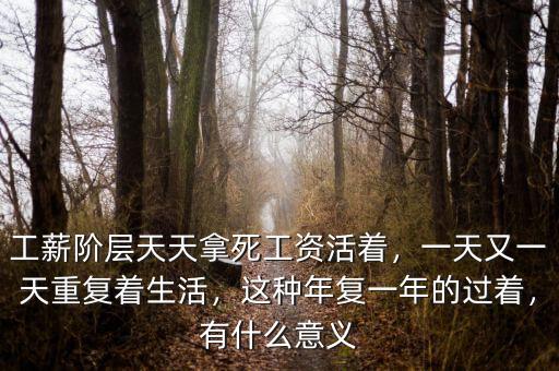 工薪階層天天拿死工資活著，一天又一天重復著生活，這種年復一年的過著，有什么意義