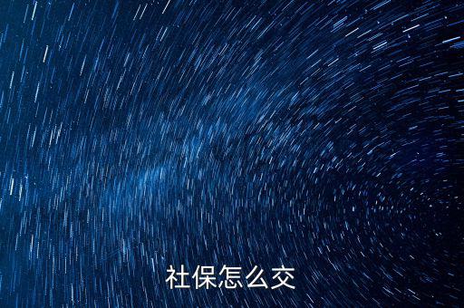 社會(huì)保障金怎么交,農(nóng)民怎樣交社保
