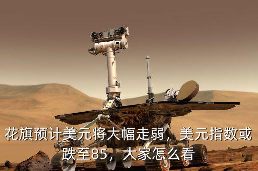 花旗預(yù)計(jì)美元將大幅走弱，美元指數(shù)或跌至85，大家怎么看