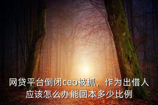 網(wǎng)貸平臺(tái)倒閉ceo被抓，作為出借人應(yīng)該怎么辦能回本多少比例