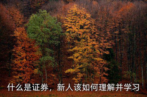 什么是證券，新人該如何理解并學(xué)習(xí)