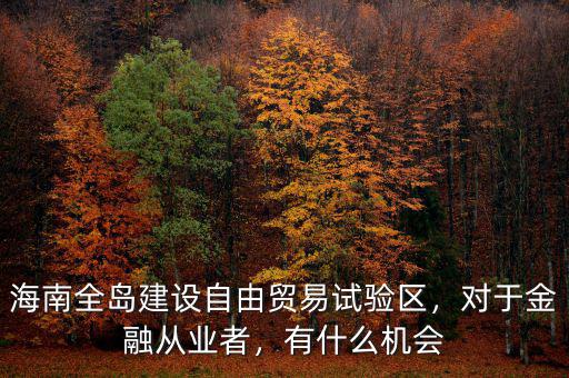 海南全島建設(shè)自由貿(mào)易試驗(yàn)區(qū)，對于金融從業(yè)者，有什么機(jī)會(huì)