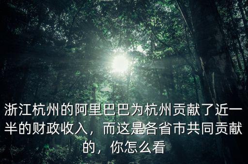 浙江杭州的阿里巴巴為杭州貢獻了近一半的財政收入，而這是各省市共同貢獻的，你怎么看
