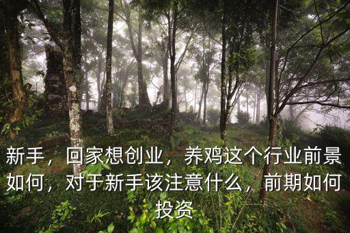 新手，回家想創(chuàng)業(yè)，養(yǎng)雞這個(gè)行業(yè)前景如何，對(duì)于新手該注意什么，前期如何投資