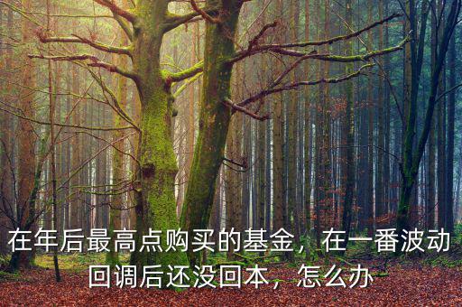 在年后最高點購買的基金，在一番波動回調后還沒回本，怎么辦