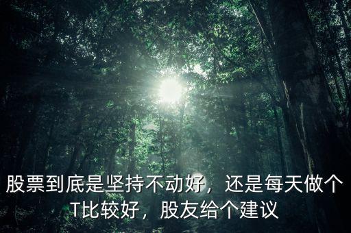 股票到底是堅(jiān)持不動(dòng)好，還是每天做個(gè)T比較好，股友給個(gè)建議