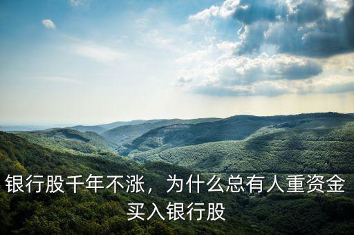 銀行股千年不漲，為什么總有人重資金買(mǎi)入銀行股