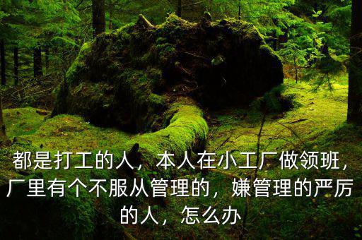 都是打工的人，本人在小工廠做領(lǐng)班，廠里有個不服從管理的，嫌管理的嚴(yán)厲的人，怎么辦