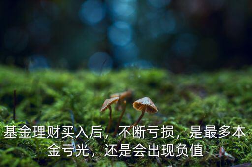基金理財買入后，不斷虧損，是最多本金虧光，還是會出現(xiàn)負值