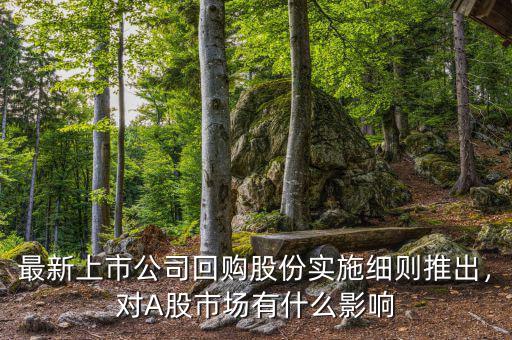 最新上市公司回購股份實(shí)施細(xì)則推出，對A股市場有什么影響