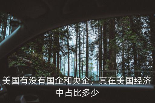 美國有沒有國企和央企，其在美國經(jīng)濟中占比多少