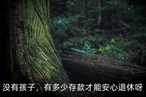 沒有孩子，有多少存款才能安心退休呀