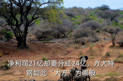 凈利潤21億卻要分紅24億，方大特鋼如此“大方”為哪般