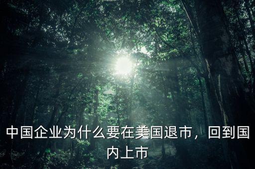 中國企業(yè)為什么要在美國退市，回到國內(nèi)上市