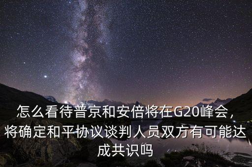 怎么看待普京和安倍將在G20峰會，將確定和平協(xié)議談判人員雙方有可能達(dá)成共識嗎