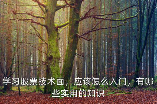 學(xué)習(xí)股票技術(shù)面，應(yīng)該怎么入門，有哪些實(shí)用的知識(shí)