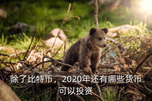 除了比特幣，2020年還有哪些貨幣可以投資