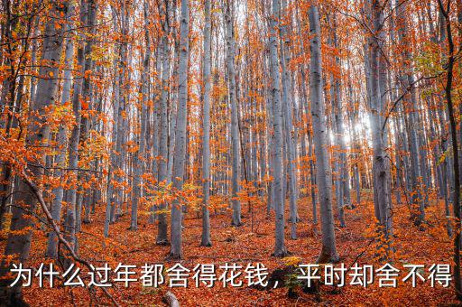 為什么過年都舍得花錢，平時卻舍不得