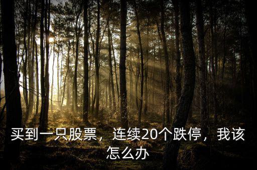 買到一只股票，連續(xù)20個(gè)跌停，我該怎么辦