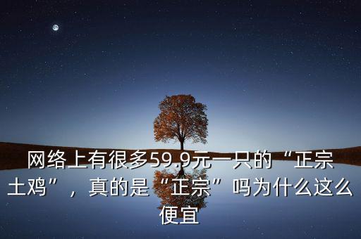 網(wǎng)絡(luò)上有很多59.9元一只的“正宗土雞”，真的是“正宗”嗎為什么這么便宜