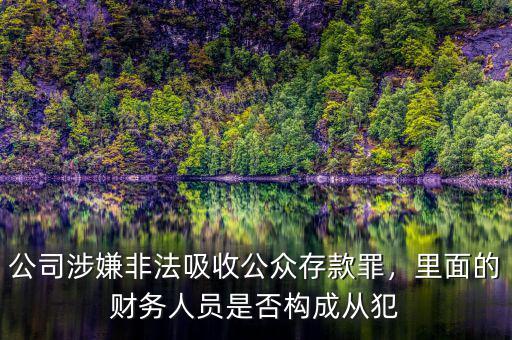 公司涉嫌非法吸收公眾存款罪，里面的財務人員是否構成從犯