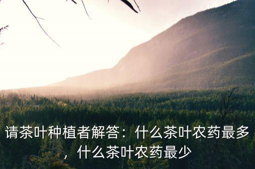 請(qǐng)茶葉種植者解答：什么茶葉農(nóng)藥最多，什么茶葉農(nóng)藥最少