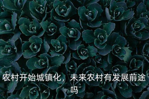 農(nóng)村開始城鎮(zhèn)化，未來農(nóng)村有發(fā)展前途嗎