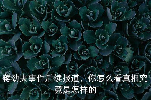 蔣勁夫事件后續(xù)報道，你怎么看真相究竟是怎樣的