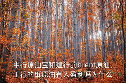 中行原油寶和建行的brent原油，工行的紙原油有人盈利嗎為什么