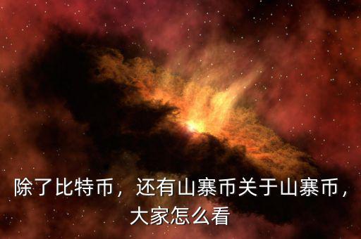 除了比特幣，還有山寨幣關(guān)于山寨幣，大家怎么看