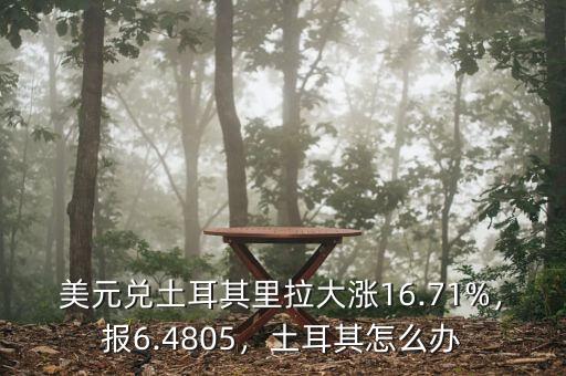 美元兌土耳其里拉大漲16.71%，報(bào)6.4805，土耳其怎么辦