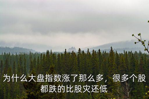 為什么大盤指數(shù)漲了那么多，很多個股都跌的比股災(zāi)還低