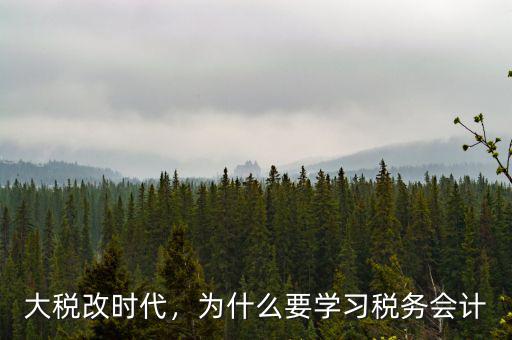 大稅改時代，為什么要學(xué)習(xí)稅務(wù)會計(jì)