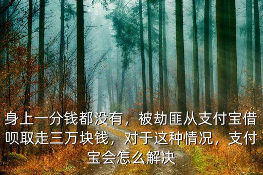 身上一分錢都沒有，被劫匪從支付寶借唄取走三萬(wàn)塊錢，對(duì)于這種情況，支付寶會(huì)怎么解決