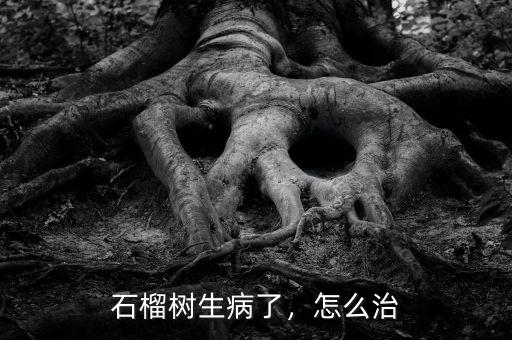石榴樹生病了，怎么治