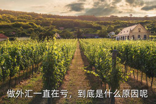 抄外匯為什么錢(qián)一直出不來(lái),做外匯一直在虧