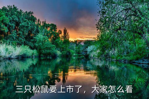 三只松鼠要上市了，大家怎么看