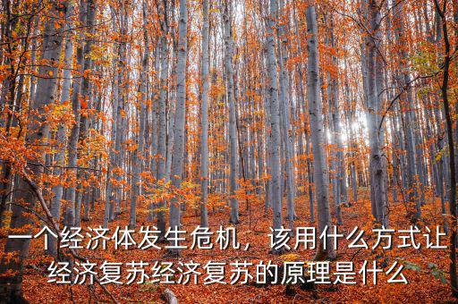 一個經濟體發(fā)生危機，該用什么方式讓經濟復蘇經濟復蘇的原理是什么