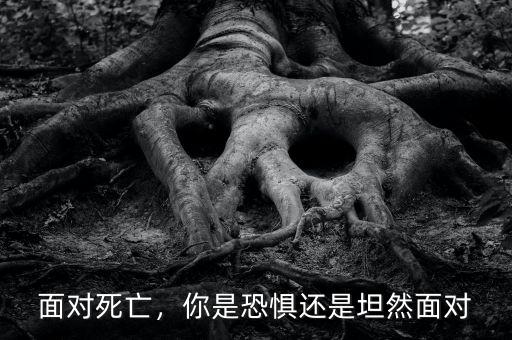 面對死亡，你是恐懼還是坦然面對