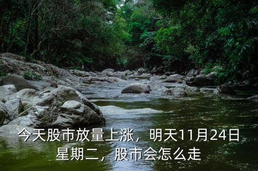 今天股市放量上漲，明天11月24日星期二，股市會怎么走