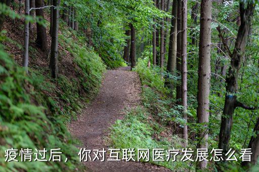 疫情過后，你對(duì)互聯(lián)網(wǎng)醫(yī)療發(fā)展怎么看