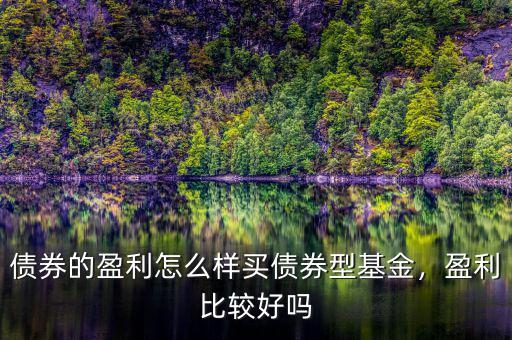 債券的盈利怎么樣買債券型基金，盈利比較好嗎