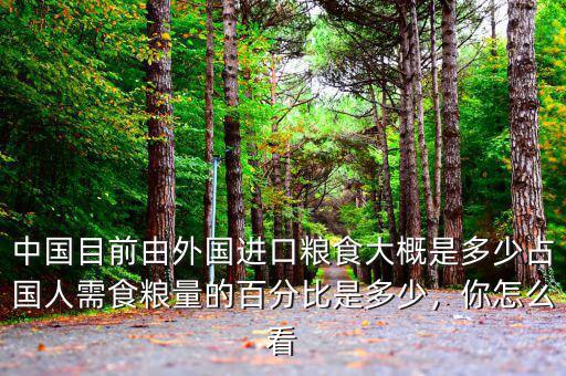 中國目前由外國進(jìn)口糧食大概是多少占國人需食糧量的百分比是多少，你怎么看