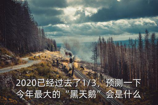 2020已經(jīng)過去了1/3，預(yù)測一下今年最大的“黑天鵝”會是什么